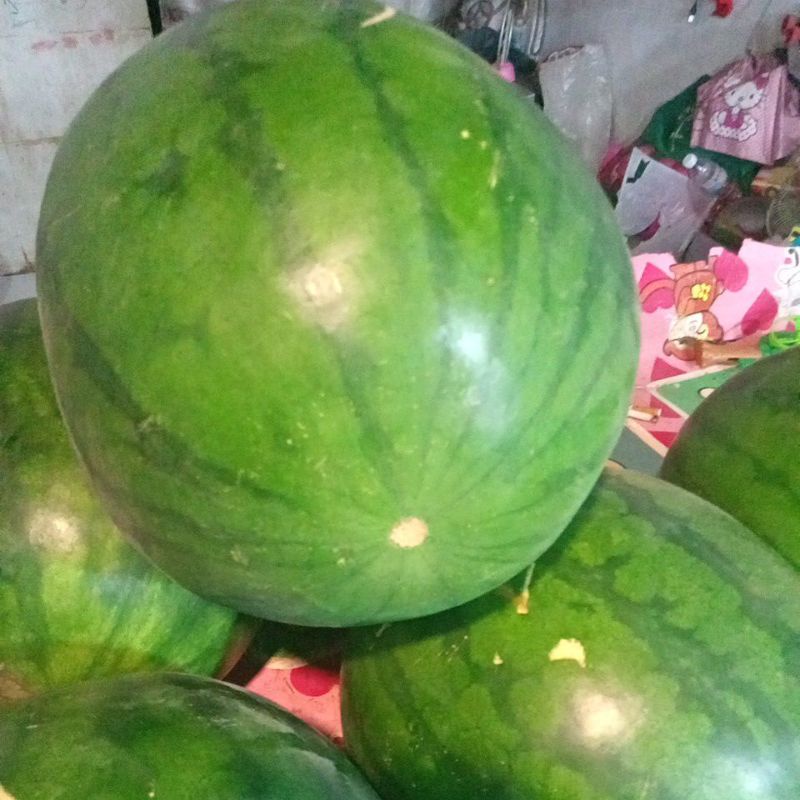 

semangkasuper