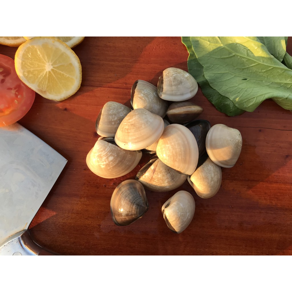 

Kerang Tahu (1KG)