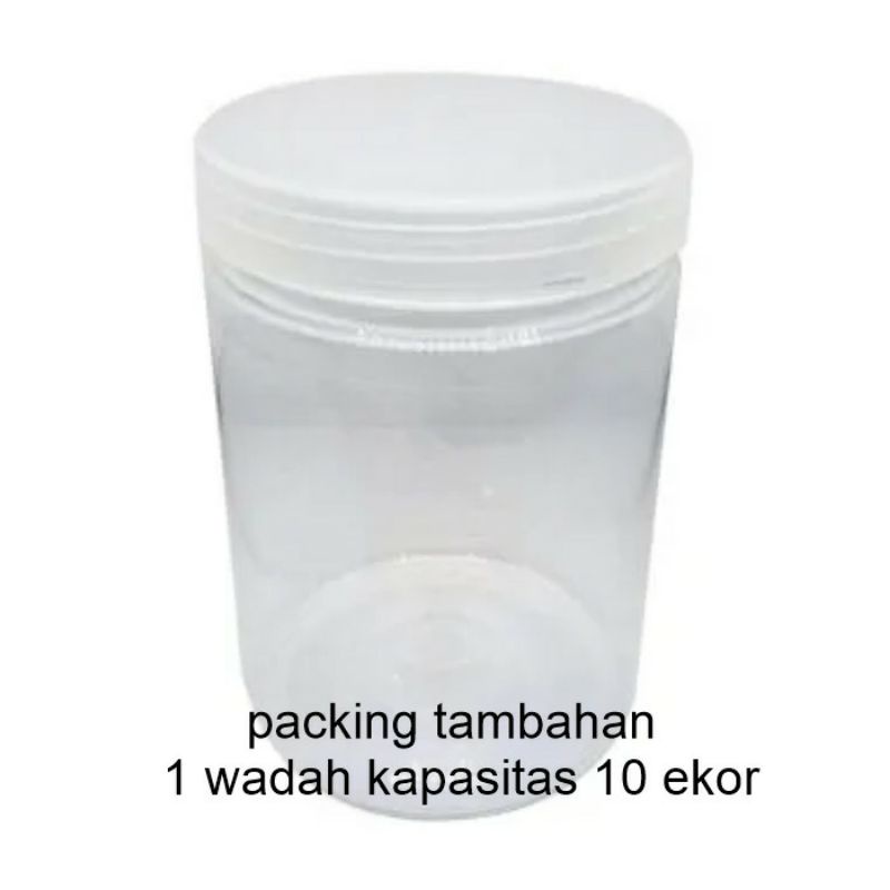 

Packing tambahan agar aman dalam prises pengiriman