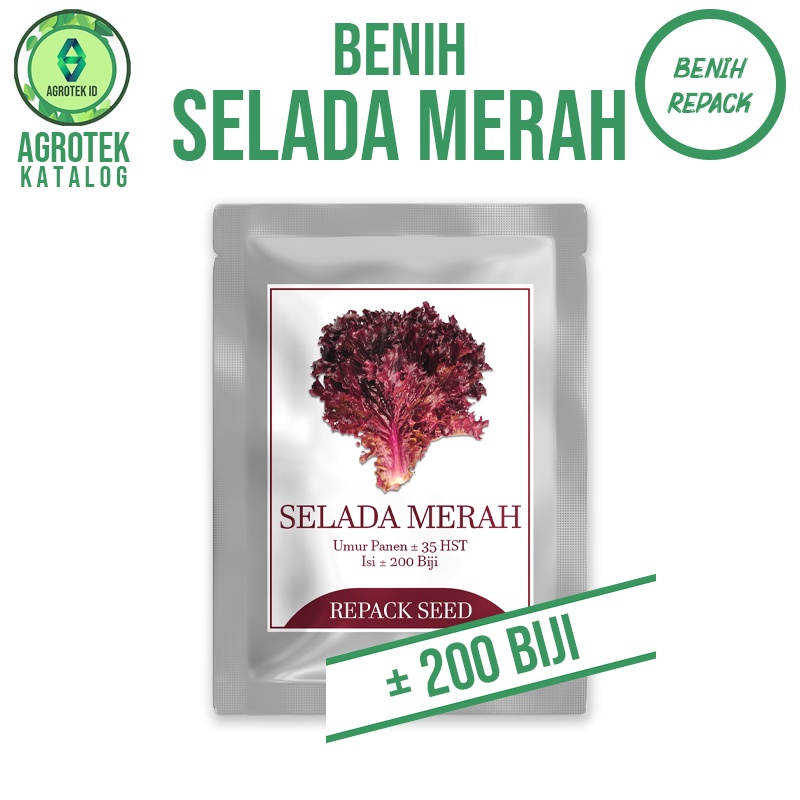 Benih Bibit Biji Selada Merah Murah Berkualitas Super