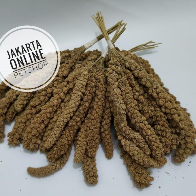 

(BISA COD) Jewawut Tangkai kemasan 1kg