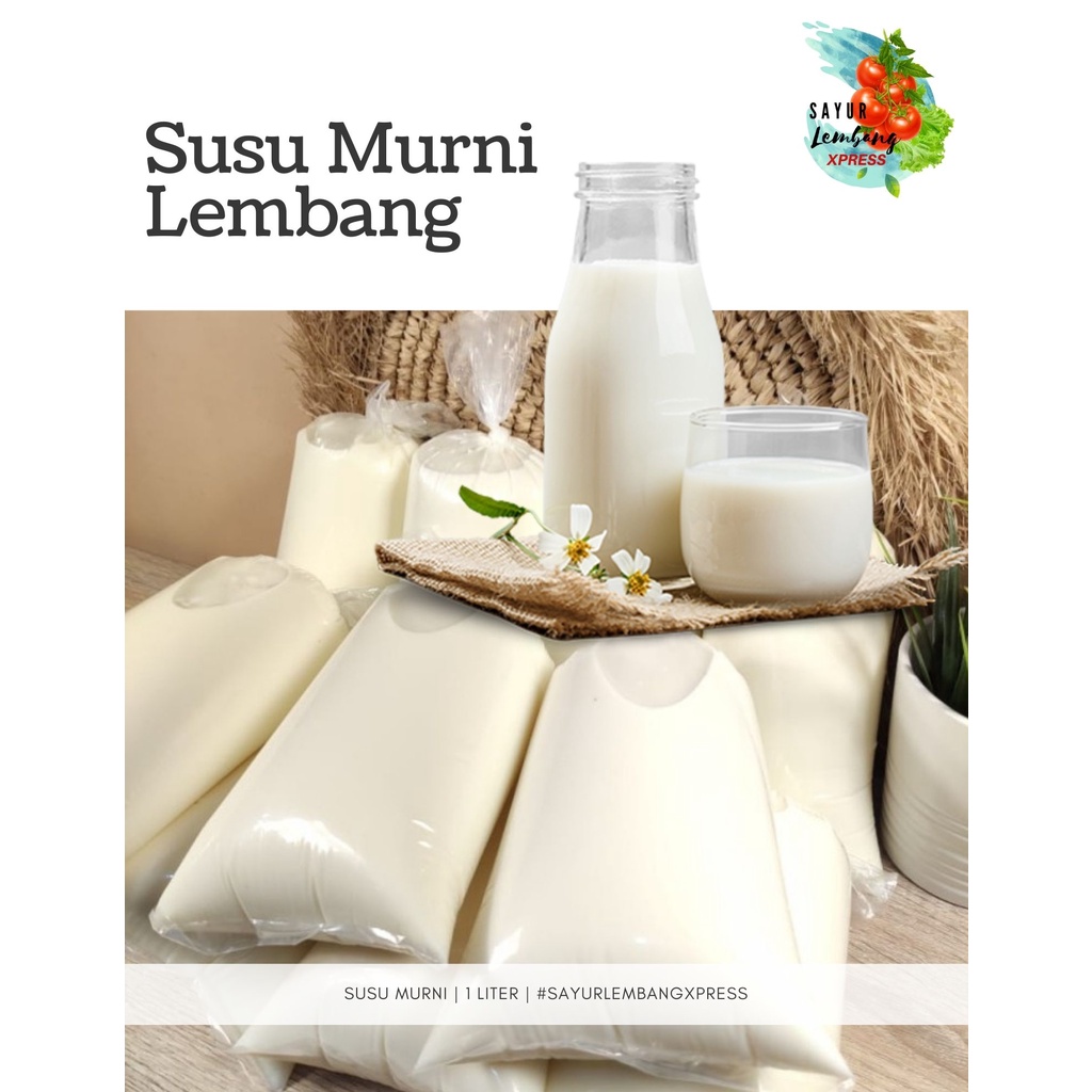 Jual Susu Sapi Murni Lembang 1 Liter/ Susu KPSBU Lembang | Shopee Indonesia