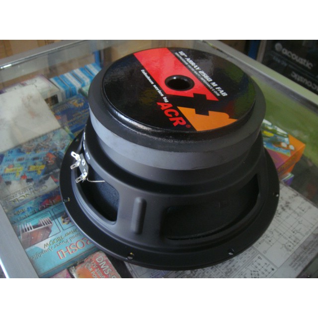 SPEAKER ACR FABULOUS 10inch ARRAY 2560M