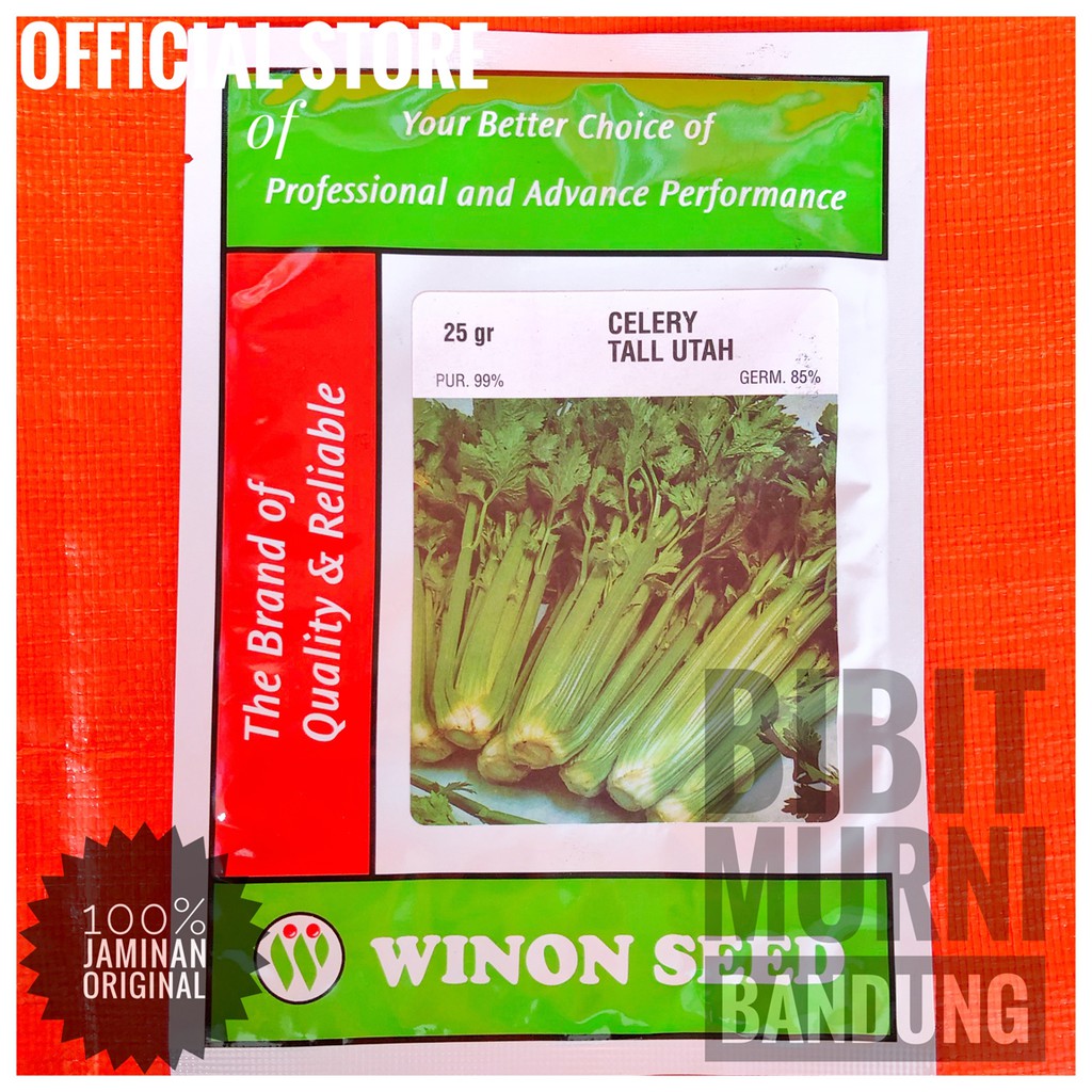 BENIH BIBIT SELEDRI STICK CELERY STICK TALL UTAH 25 GRAM - WINON SEED