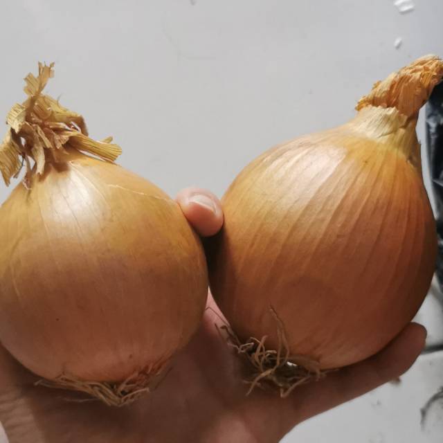 

Bawang Bombay Organik 500gram || Onion Organic