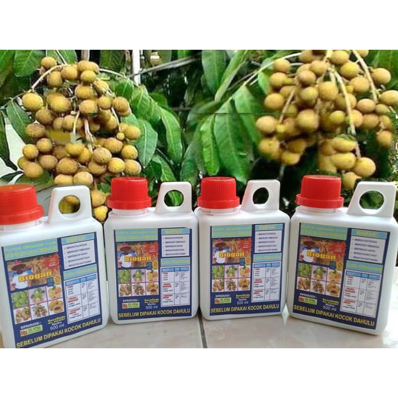 Pupuk Organik Cair (POC) BIOGAN UNTUK TANAMAN BUAH KELENGKENG 500ml