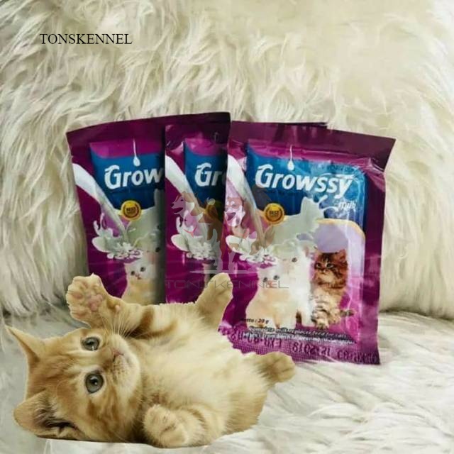 Growssy Milk Kitten 20gr Sachet  Susu Anak Kucing Growsy Koneko Cattiee Cat Top Growth