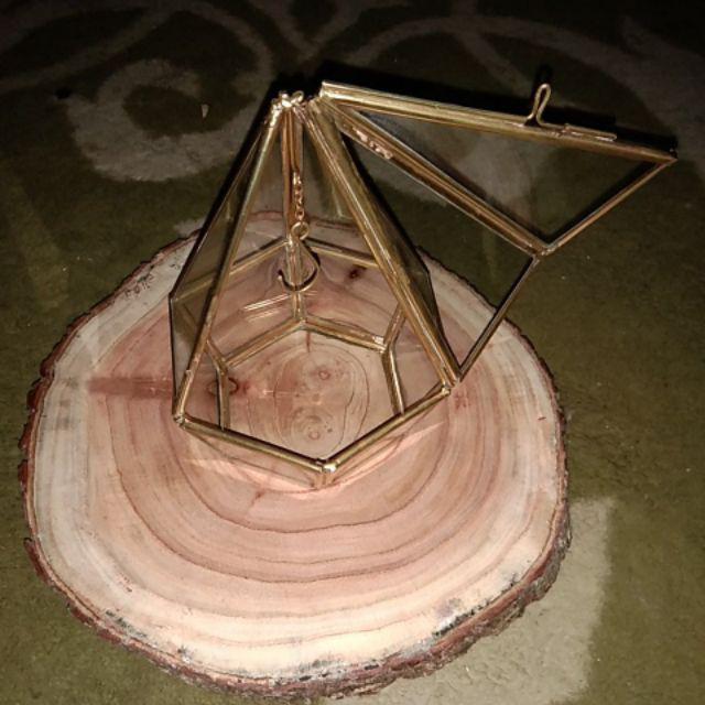 Satu Set Tempat Cincin Pengait Dan Woodslice