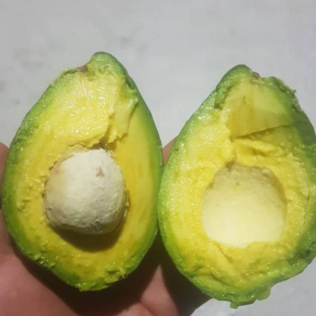 

ALPUKAT MENTEGA