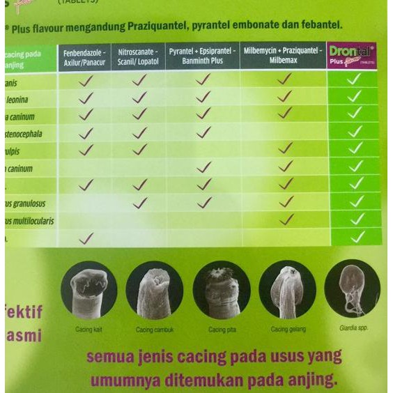 Jual Produk Terlaris Drontal Plus Dog Per Tablet Obat Cacing Anjing Kl0 Indonesia Shopee Indonesia