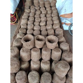 Asli Pot  Bunga  Pot  tanaman Pot  Anggrek dari  bahan 