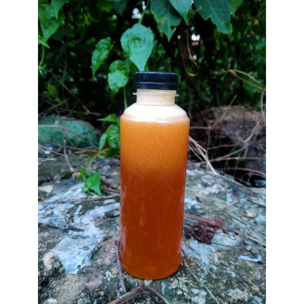 

Madu Asli Hutan Kalimantan 250 ml