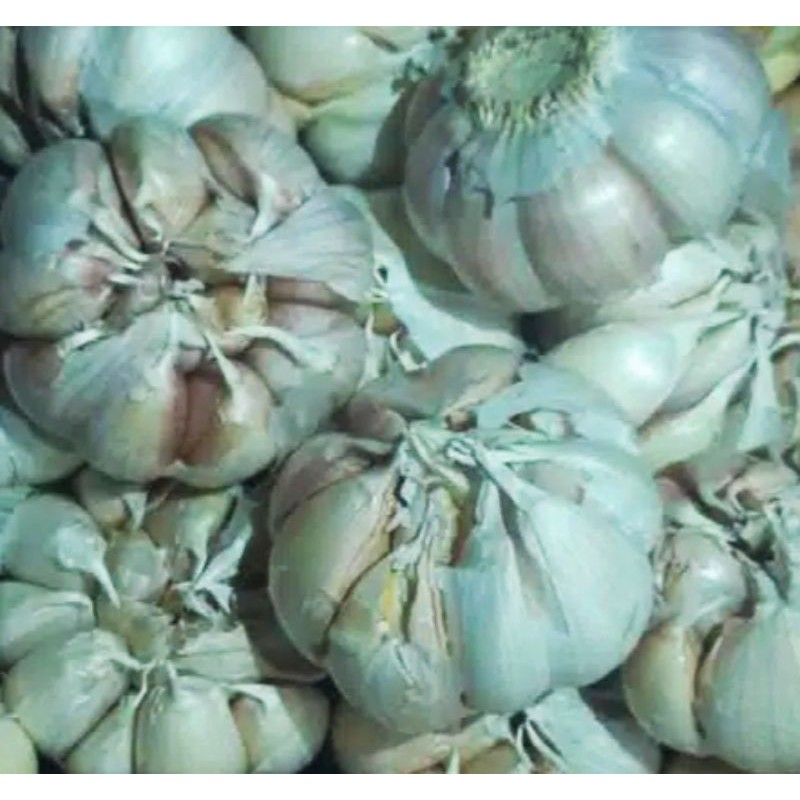 

Sayur Segar - Bawang Putih 250 gr