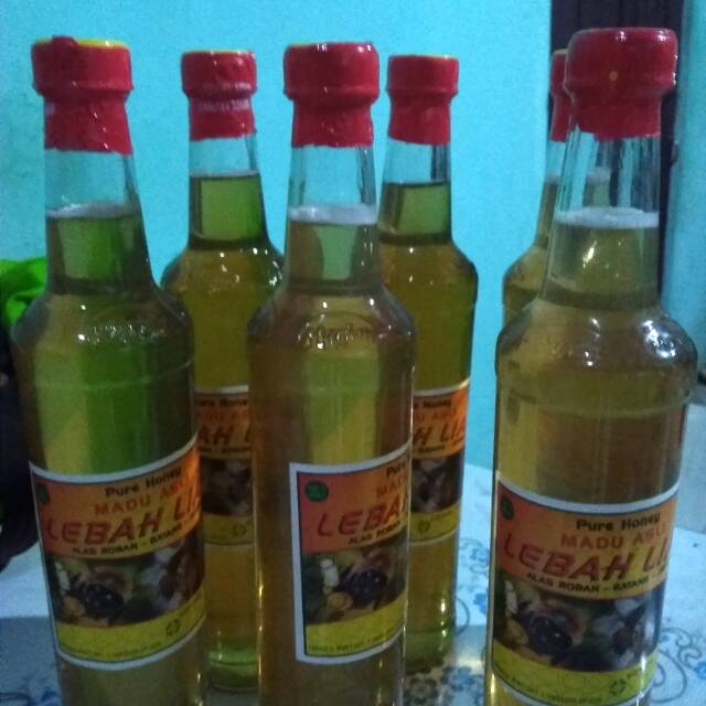 

Madu lebah asli