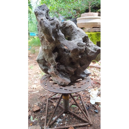 batu karang gunung untuk bonsai realpict