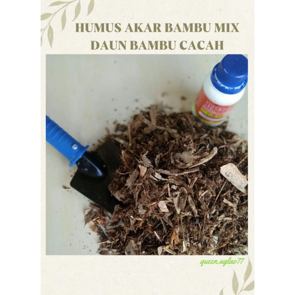 humus akar bambu mix daun bambu kering cacah