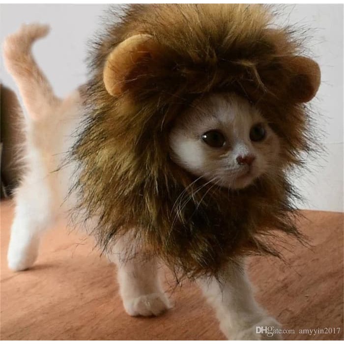 Kostum Kucing Anjing Model Wig Rambut Singa Topi Cat Lion Hair Pakaian Baju Kucing