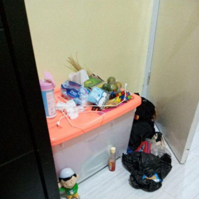 Box Container Shinpo Cb 130 Mega - Ke Seluruh Indonesia