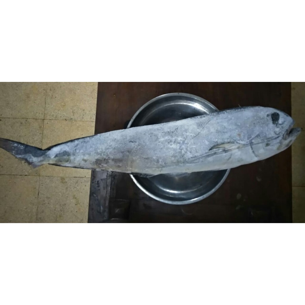 

Ikan Lemadang Frozen FreshMart 2 Kg