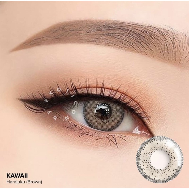 Softlens kawaii harajuku (brown)