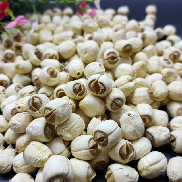 

Lotus seed top no.1 500gr 195rb