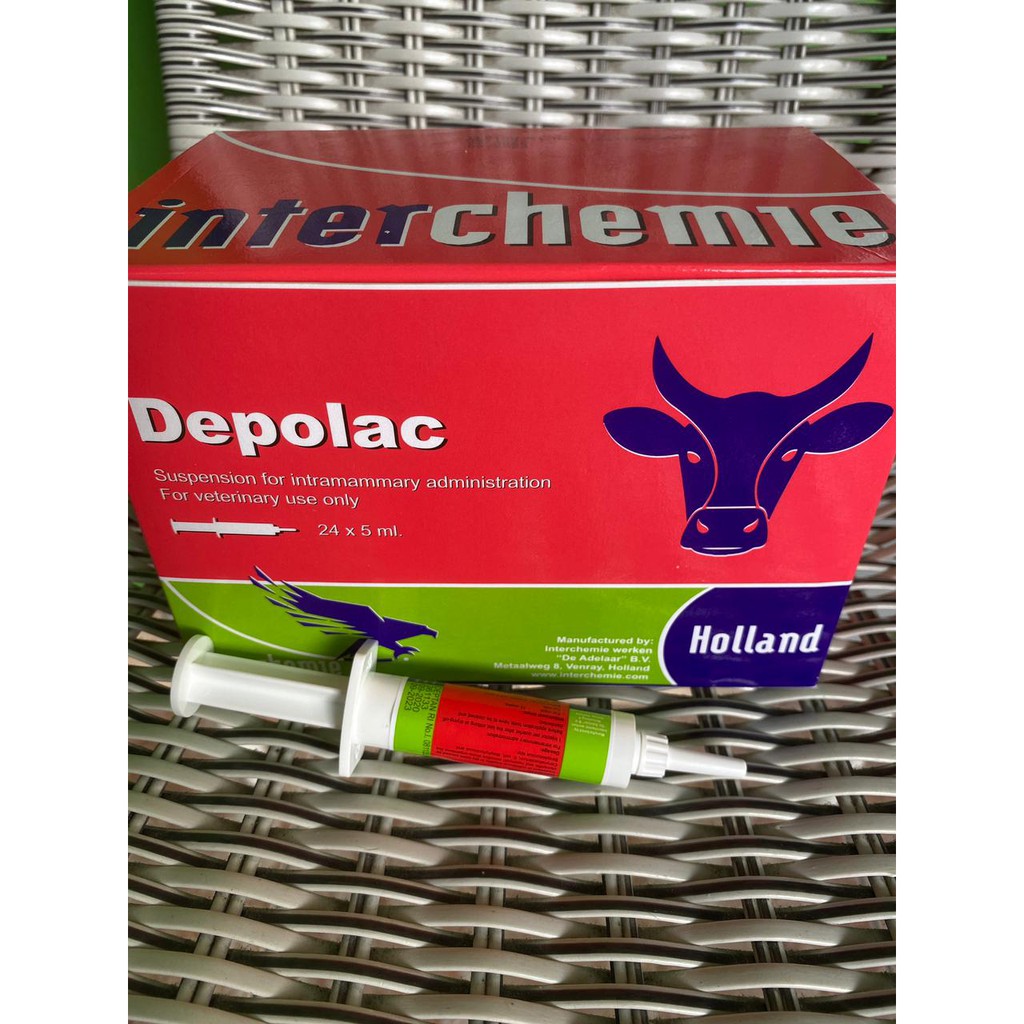 Depolac 5 ML (obat mastitis masa kering)