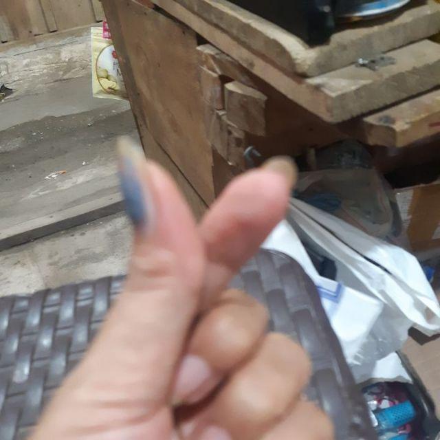 Tanaman Hias Bunga Pikok Biru