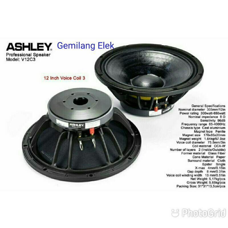 Speaker ASHLEY 12 inch V12C3 Original