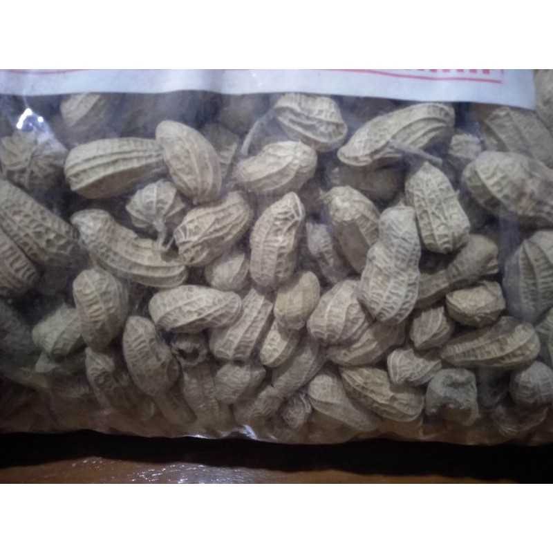 

KACANG OVEN