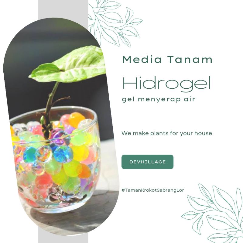 Hidrogel Media Tanam