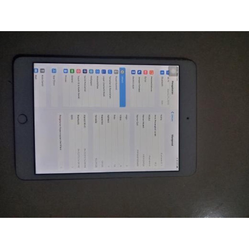 iPad mini 4 bypass wifi only