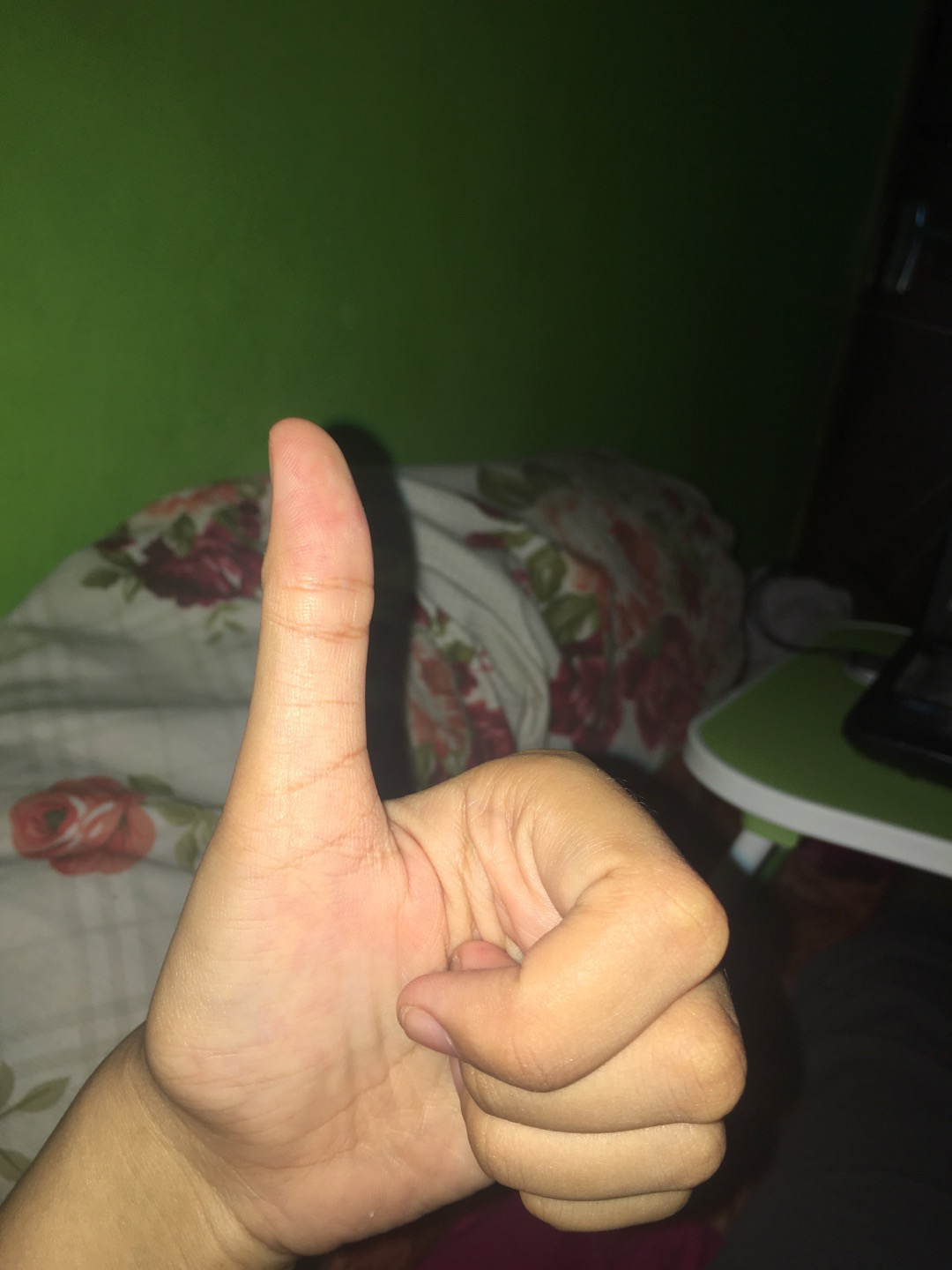 Sayuran Buah Bawang Gantung Dapur Kantong Tas Jala Tas Belanja