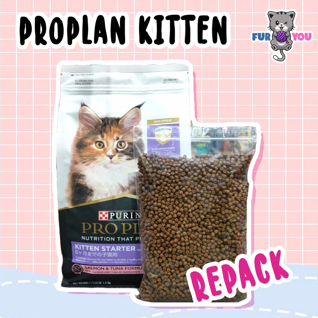 Proplan Kitten repack salmon