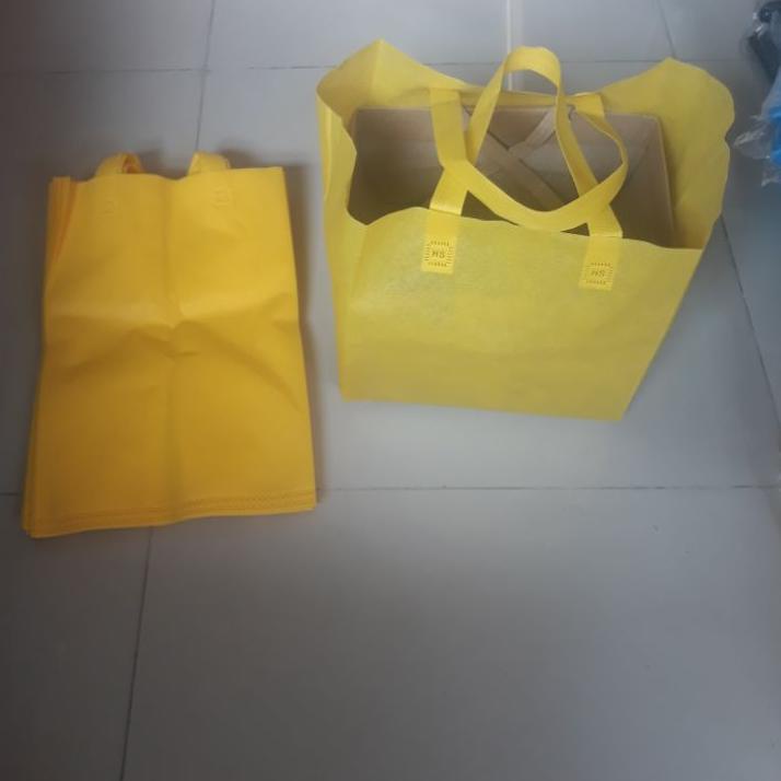 

Model Baru KCHLN Tas Kain Spunbond HLS Dus nasi 22x22x22 Y37 Super Promo
