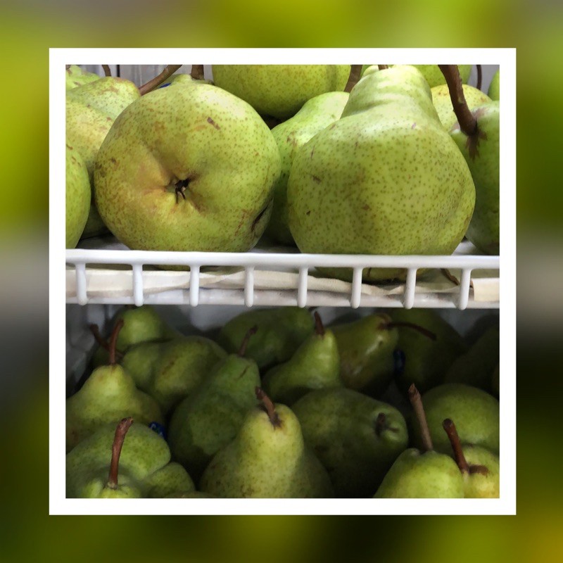 

pear hijau Packham import super per 500 gram Rp 34.990