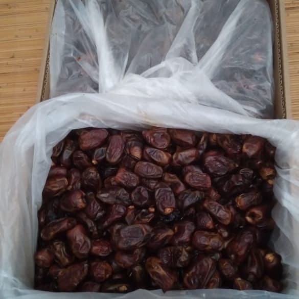 

Kurma Terbaru - Kurma Mesir 1Karton 10Kg