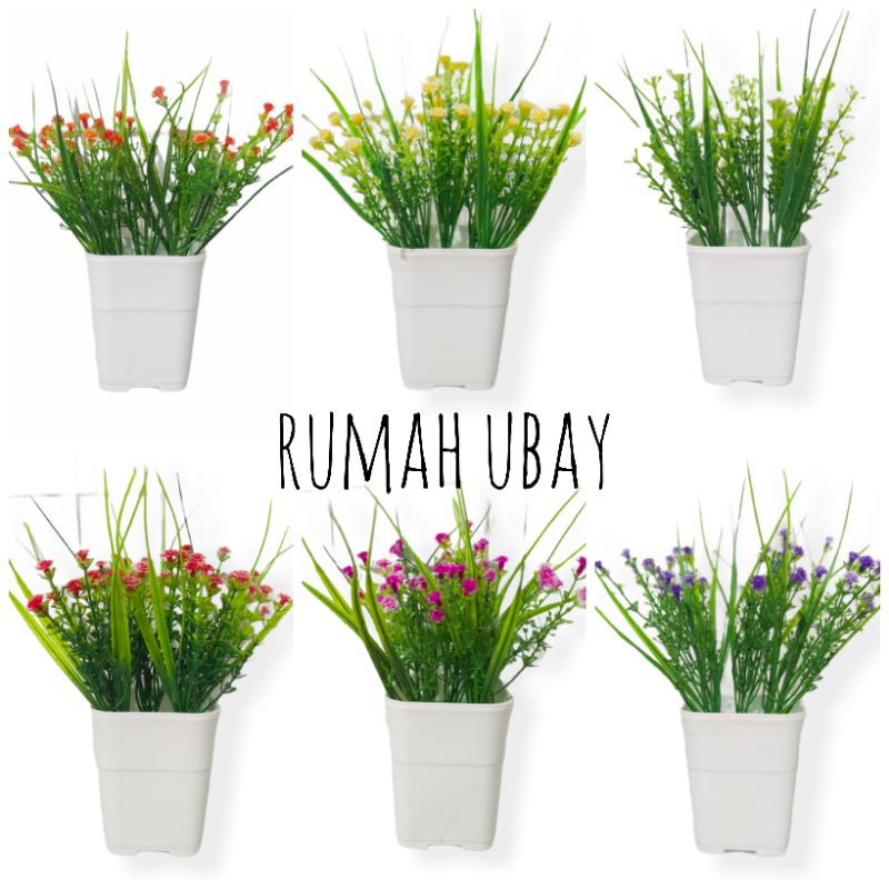 BUNGA RUMPUT ILALANG POT KOTAK