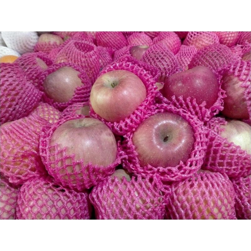 

APEL FUJI