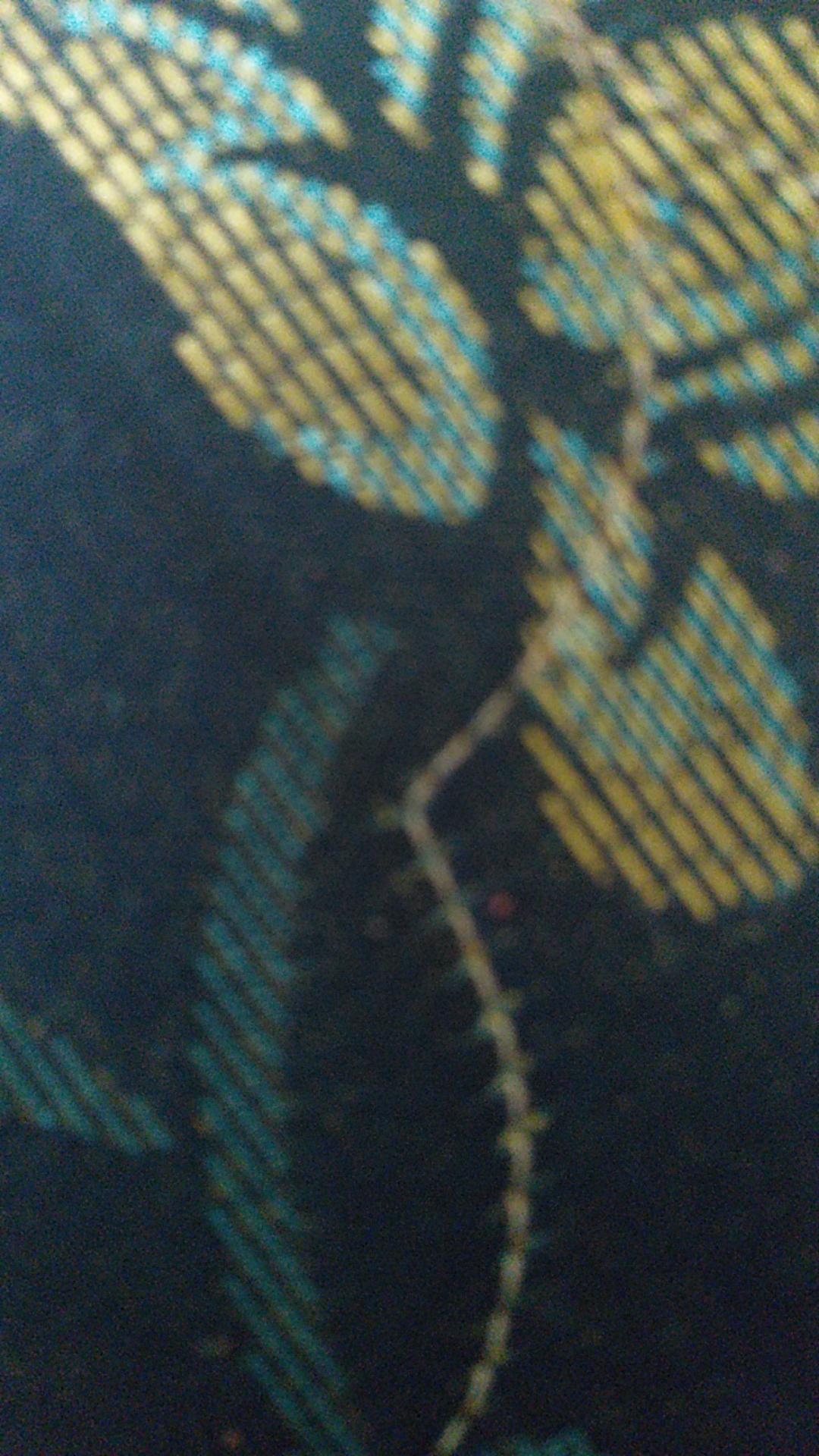 Kemeja Batik Pria Lengan Panjang Premium Two Tone Pagi Sore Coklat Cokelat Choklat Tua 727374 Cap 72