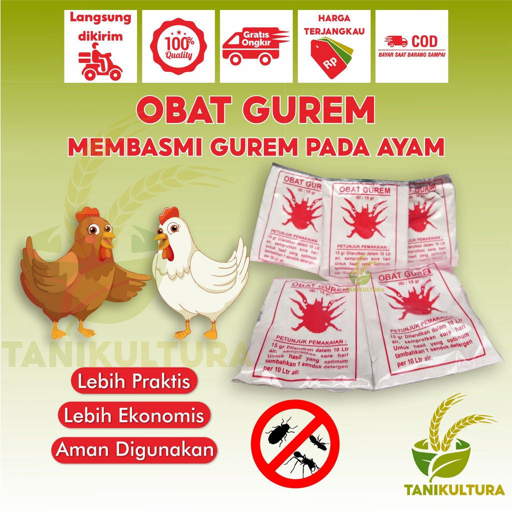 Obat Gurem Ayam Semprot Ampuh Membasmi Gurem dan Kutu Pada Kandang Ternak Unggas Ayam