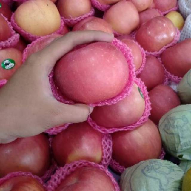 

Apel Fuji Manis 1Kg