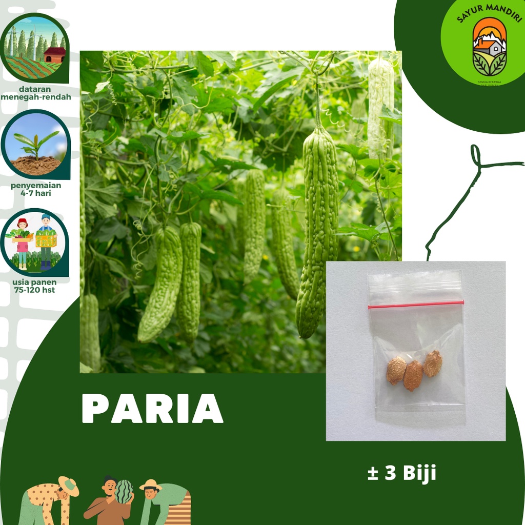 Benih Pare Paria Hibrida F1 Seribuan