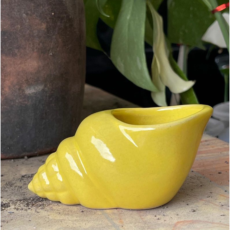 Pot Keramik Keong