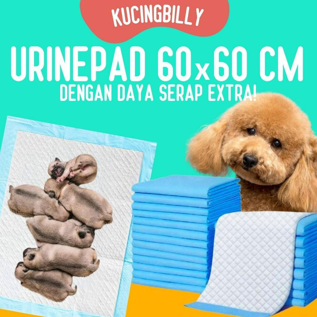 Alas Pipis Training Pad Perlak Kucing Anjing - 60x60 BESAR