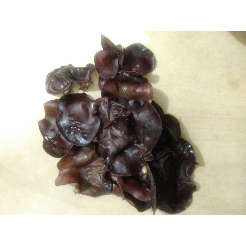 

jamur kuping 250gr