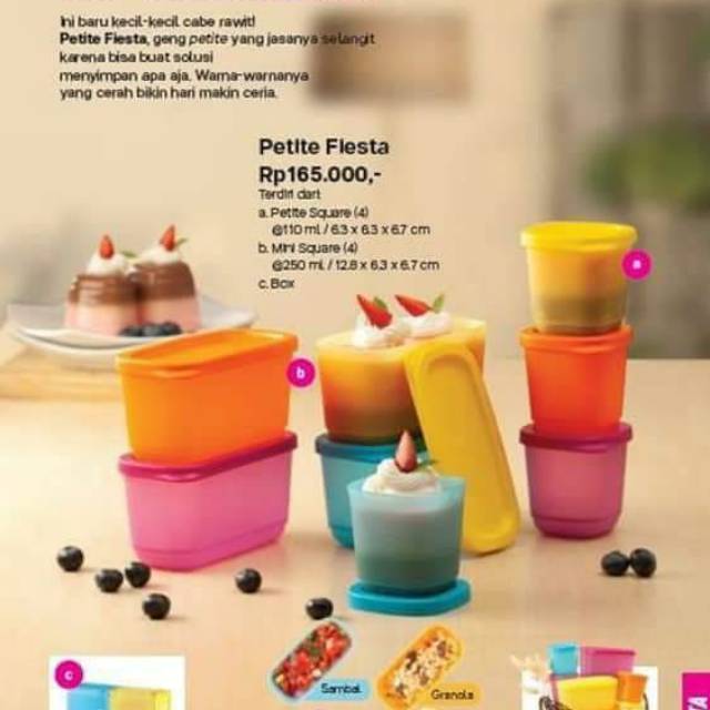 Tupperware Petite Fiesta
