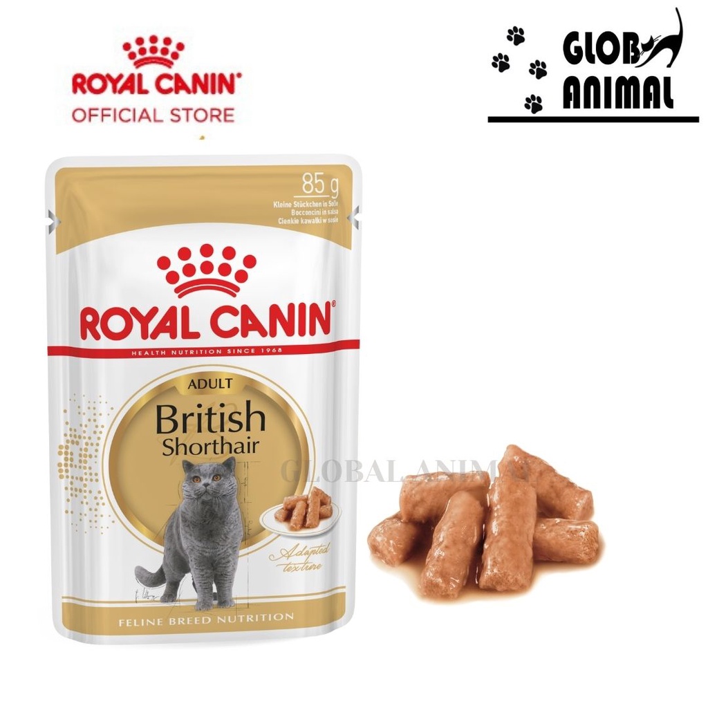 ROYAL CANIN WET BRITISH SHORTHAIR ADULT 85 gram makanan kucing catfood WETFOOD POUCH 85GR