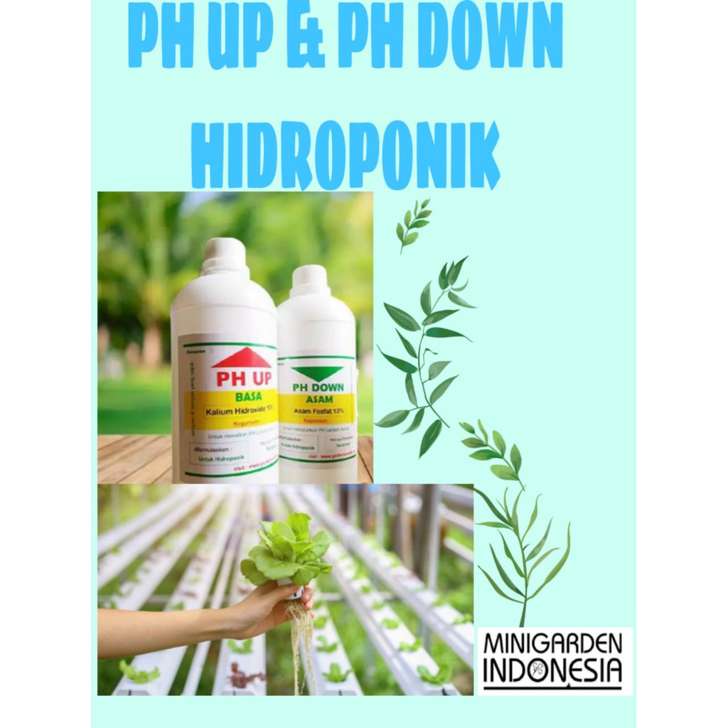 PAKET PH UP DAN PH DOWN HIDROPONIK 500 ML Penetral PH Air Nutrisi Tanaman Hidroponik