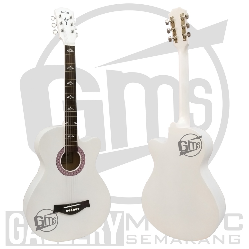 (PAKET KOMPLIT) Gitar Akustik Taylor Tanam Besi Bonus Softcase Pick Senar Cadangan