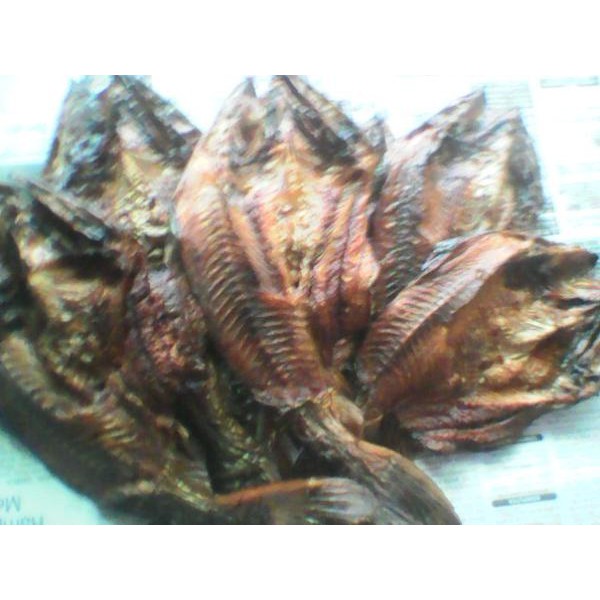 

ikan patin salay